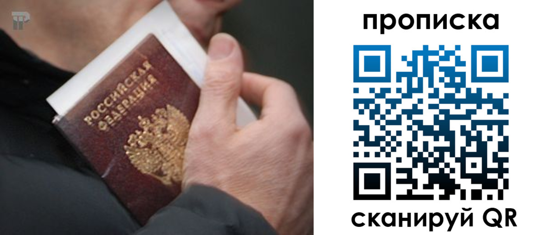 временная регистрация гарантия в Спасске-Дальнем